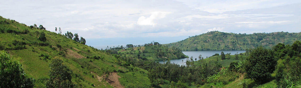 Muungano Cooperative, Democratic Republic of Congo Muungano Cooperative, Democratic Republic of Congo