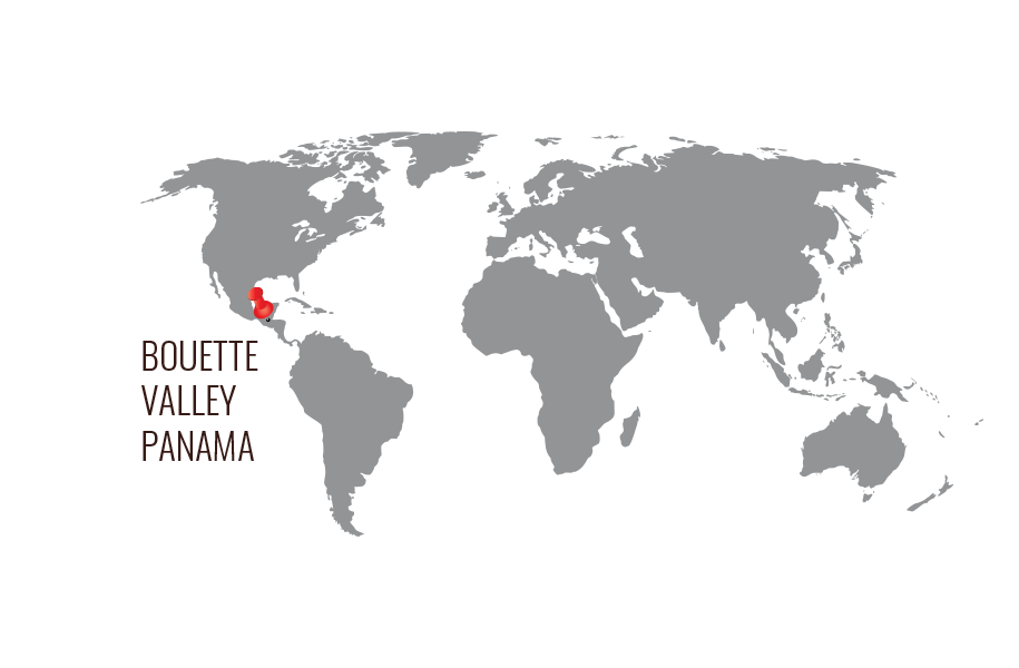 panama_boquette_region